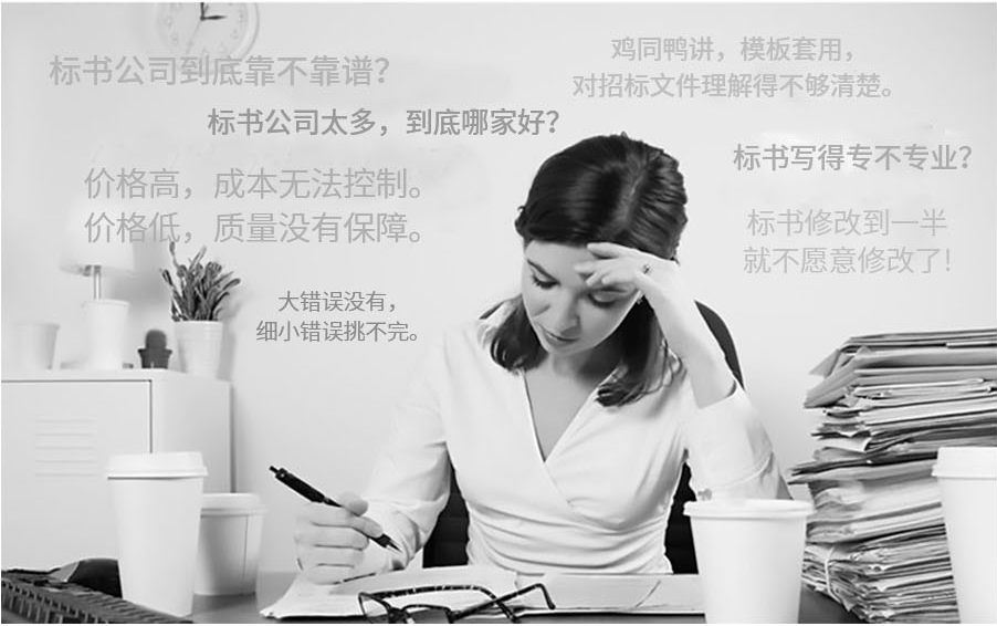 長沙標書代寫