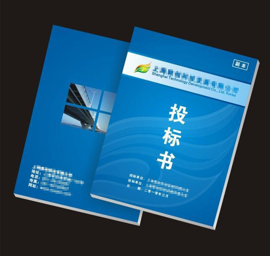 長沙標書制作,標書代寫服務,長沙標書制作費用